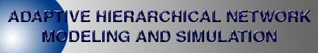 Adaptive Hierarchical Network Modeling and Simulation